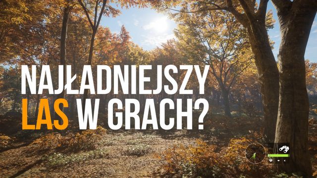 Najładniejszy las w grach? Zaskakujący theHunter: Call of the Wild