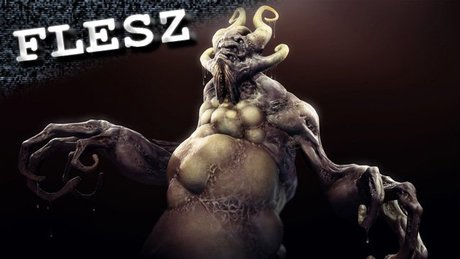 FLESZ - 7 Grudnia 2011