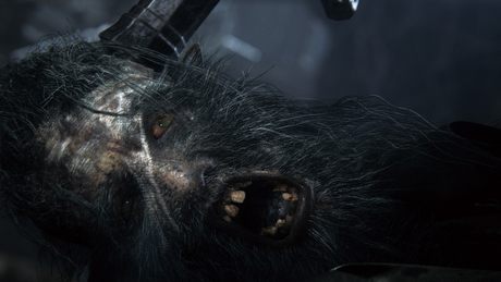Dopaść bestie – gadżety tropiciela z Bloodborne