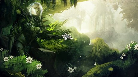 Gramy w Guild Wars 2 - Zieloni wśród śniegów
